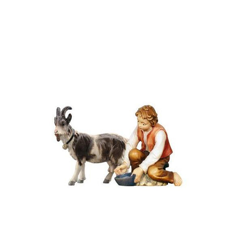 Kostner Boy milking with goat