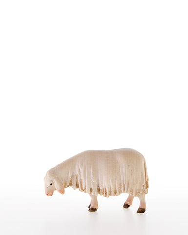 LEPI Sheep Sniffing - Gloria Nativity