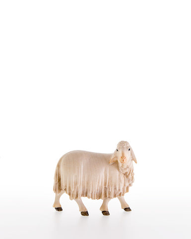 LEPI Sheep Looking Back - Gloria Nativity