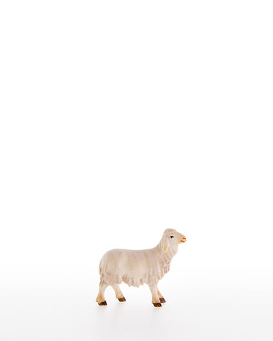 LEPI Lamb - Gloria Nativity
