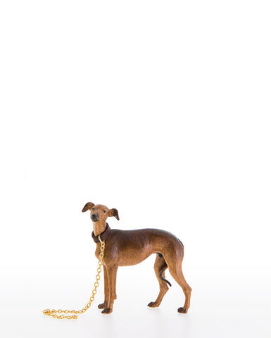 LEPI Greyhound - Gloria Nativity