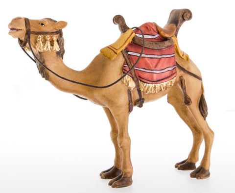 LEPI Camel