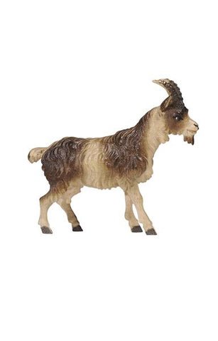 Rainell Goat Short Hair