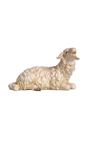 Rainell Sheep Lying Head Up