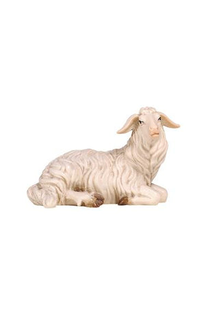 Rainell Sheep Lying Looking Right