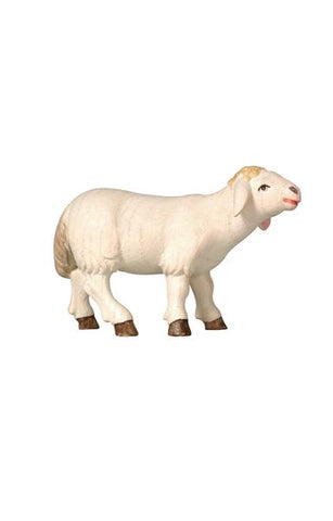 PEMA Sheep Standing Looking Forward - Watercolor