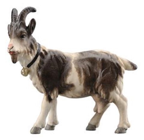 Kostner Goat with Bell Looking Left