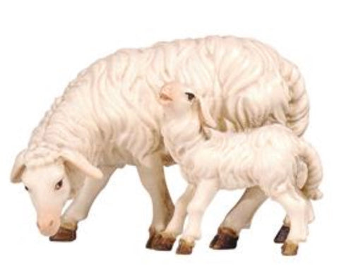 Kostner Sheep Grazing with Lamb