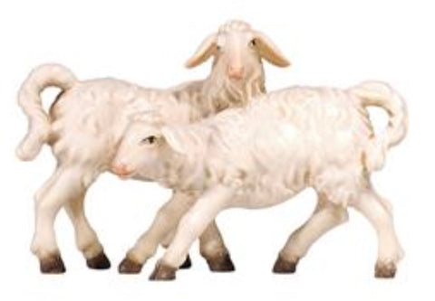 Kostner Group of Lambs