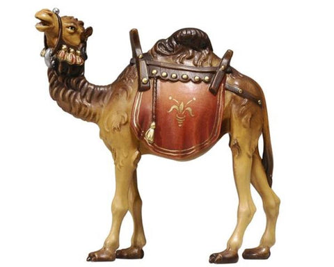 Heimatland Camel