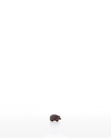 Kastlunger Hedgehog