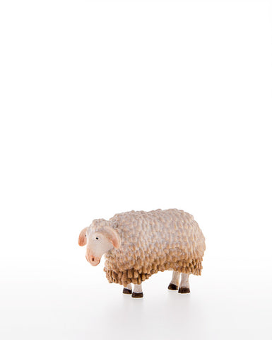 Kastlunger Sheep